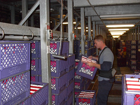 Westfalia&rsquo;s KUKA Robotic Palletizing Solution